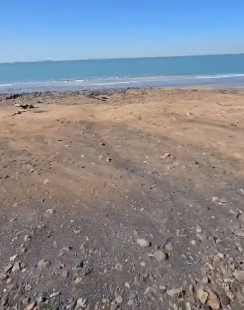 سپاه بستن تنگۀ هرمز را تمرین کرد