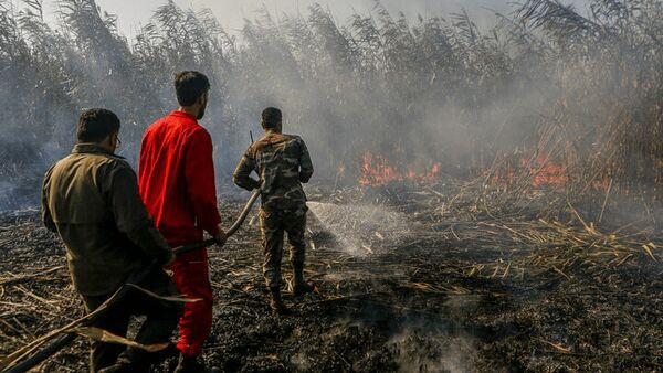 آتش به جان تالاب انزلی افتاد