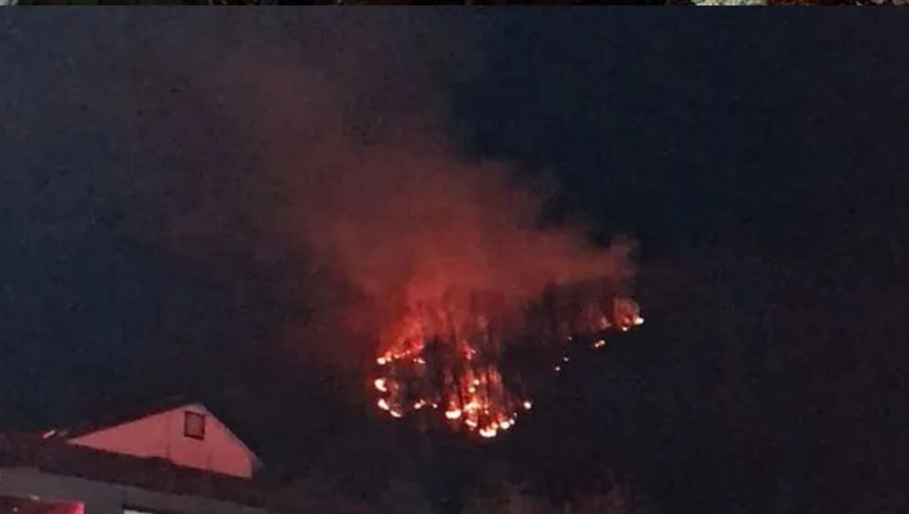 سقوط دومین اف ــ ۱۶ در کمتر از ۱۶ ساعت در کره جنوبی