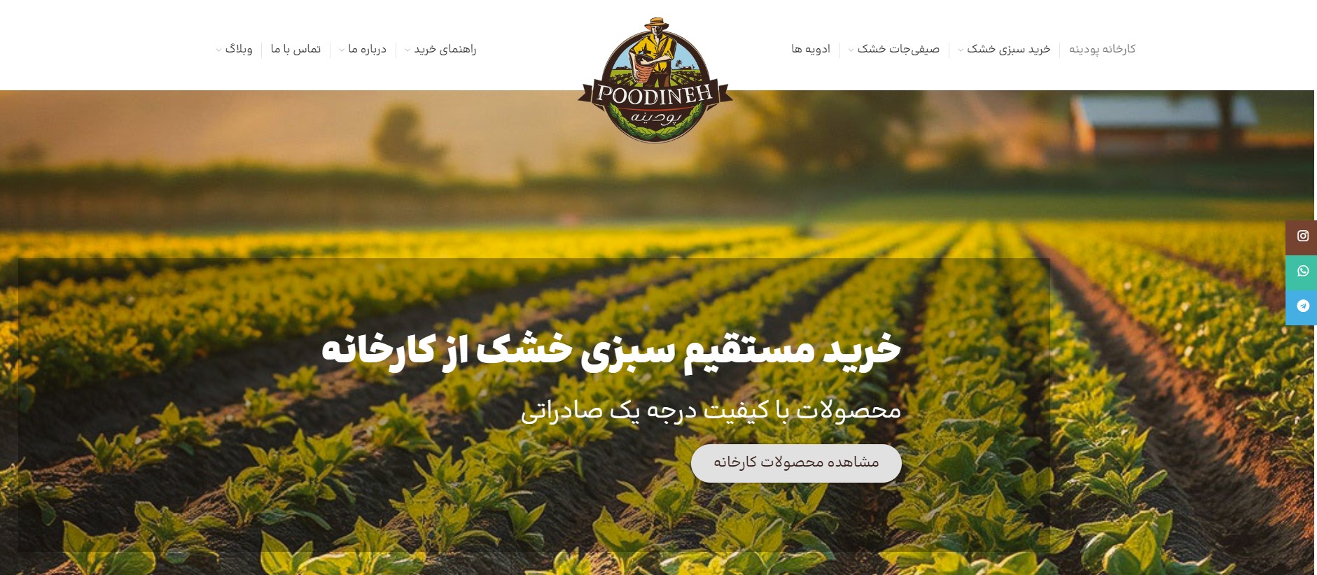 کارخانه پودینه طبس
