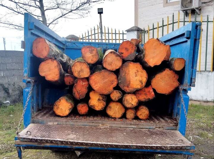کشف ۲۸ تن چوب قاچاق در مهاباد