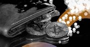 ثروتمندترین کیف پول‌های بیت کوین زیر ذره‌بین؛ ۱.۳۵ میلیون BTC در اختیار ۱۲ آدرس