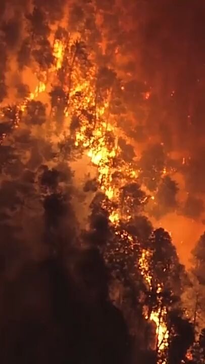 آتش‌سوزی در شمال شرق ژاپن بیش از ۲۵۰۰ نفر را آواره کرد