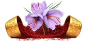 جابه جایی ۱۴۵ میلیارد تومانی در بازار زعفران بورسی