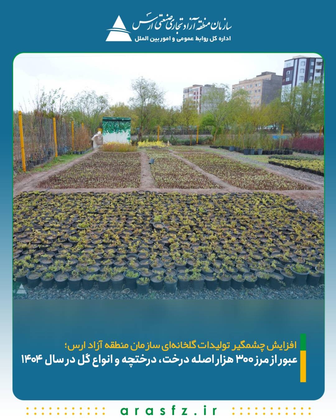 افزایش چشمگیر تولیدات گلخانهای سازمان منطقه آزاد ارس