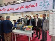 عرضه مستقیم محصولات کشاورزی در نمایشگاه بین‌المللی همدان