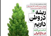 خاتون‌آباد، ایستگاه چهارم پویش کاشت ۱۵۳هزار نهال مس ایران