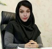 پارادایم بحران در SMEها: چرخش از استراتژی رشد به گزینه توقف موقت تولید