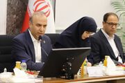 تسهیل واردات مواد اولیه پتروشیمی ضروری است