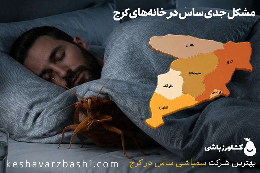 مشکل ساس در کرج - حشره ساس تختخوابی در کرج