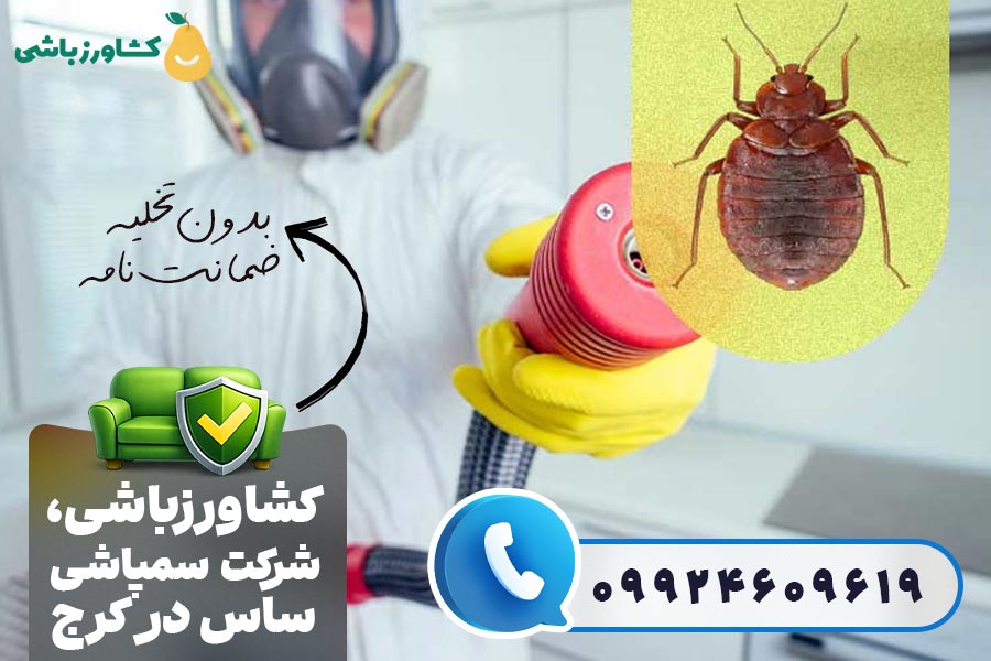 شرکت سمپاشی ساس در کرج کشاورزباشی: رتبه برتر سمپاشی ساس کرج