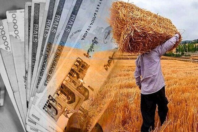 تاریخ تسویه پول گندمکاران اعلام شد تاریخ تسویه پول گندمکاران اعلام شد