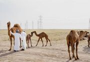 بسته‌شدن تنگه هرمز، کویت را در بحران نفتی و اقتصادی فرو برد