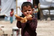 هشدار فائو: بسته بودن تنگه هرمز قیمت نان در جهان را تا ۴۵ درصد گران می‌کند