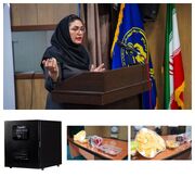 از هوش مصنوعی تا اشتغال پایدار؛ پشت‌پرده موفقیت «تراشه پرداز» در بازار میوه خشک‌کن ایران