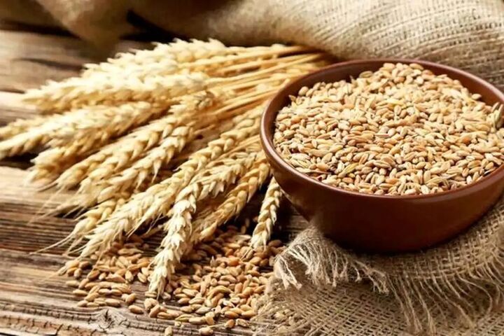 قیمت گندم برای بخش صنعت تغییر کرد قیمت گندم برای بخش صنعت تغییر کرد