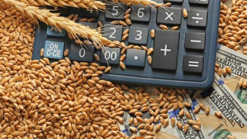 واریز ۱۴.۴ همت از مطالبات گندمکاران فارس