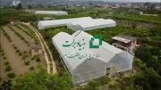 توسعه گلخانه‌ها در نکای مازندران با حمایت بنیاد برکت