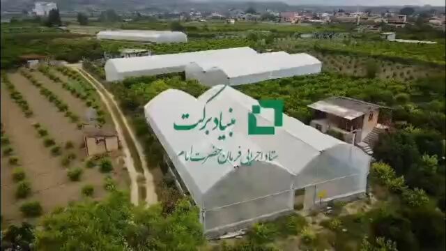توسعه گلخانه‌ها در نکای مازندران با حمایت بنیاد برکت