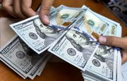 پایان استفاده از ارزهای تحمیلی/ مخالفت با واردات بدون انتقال ارز از ابتدا اشتباه بود
