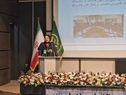 خسارت سن گندم در سال زراعی ۱۴۰۴ به زیر یک درصد رسید