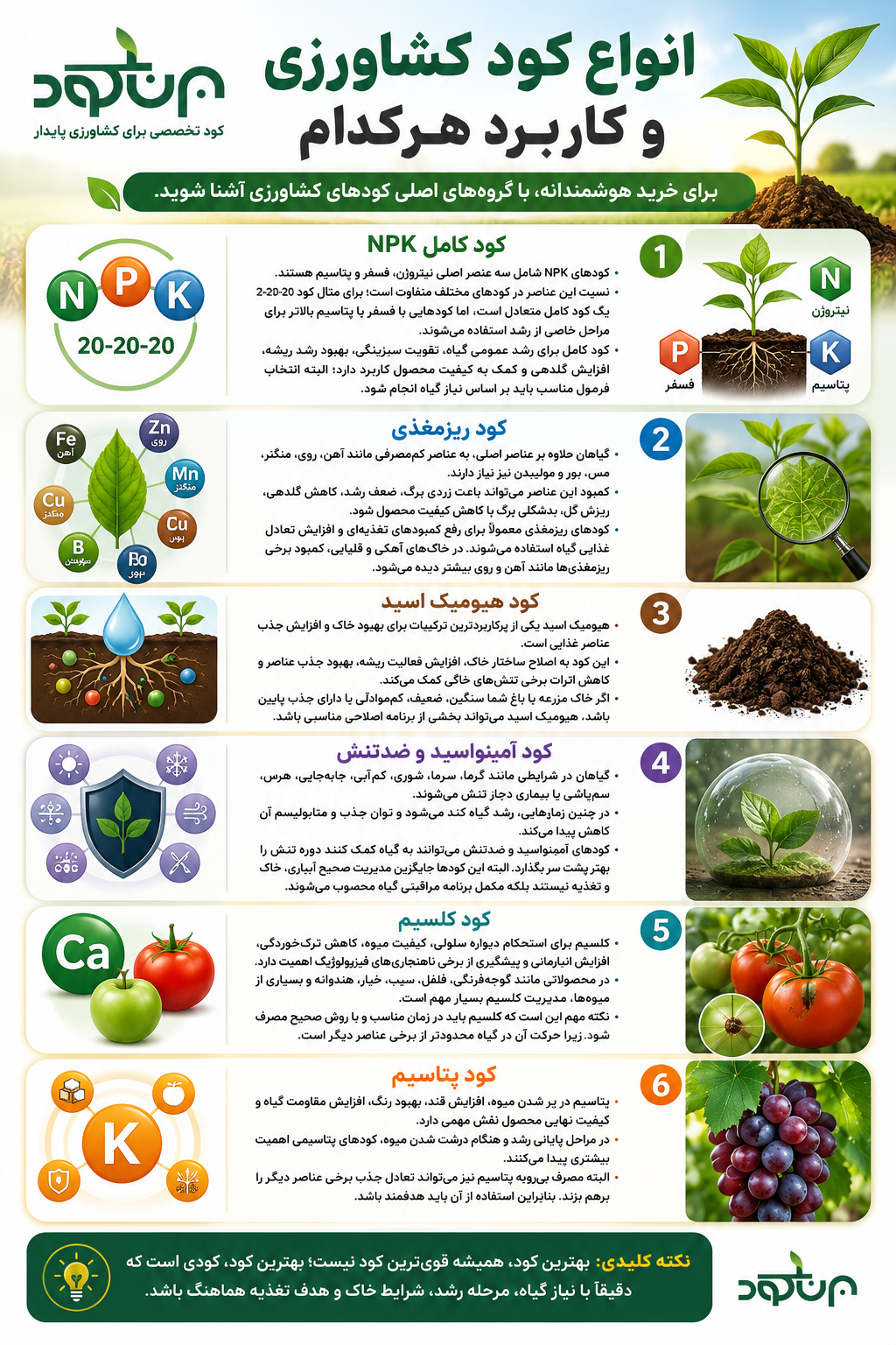 راهنمای خرید کود کشاورزی از فروشگاه تخصصی برناکود