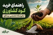راهنمای خرید کود کشاورزی از فروشگاه تخصصی برناکود