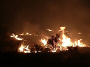 آتش‌سوزی گسترده در کوه‌های بلوار رسول اعظم(ص) شیراز| اعزام ۸ ایستگاه آتش‌نشانی