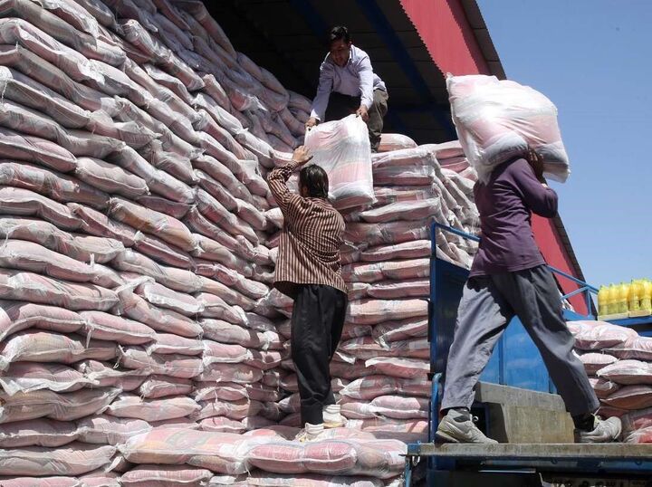همه مراحل واردات کالاهای اساسی تحت نظارت دولت است همه مراحل واردات کالاهای اساسی تحت نظارت دولت است