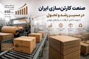 کارتن سازی ایران در آستانه تحول و نقش بسته بندی در افزایش رقابت تولیدکنندگان