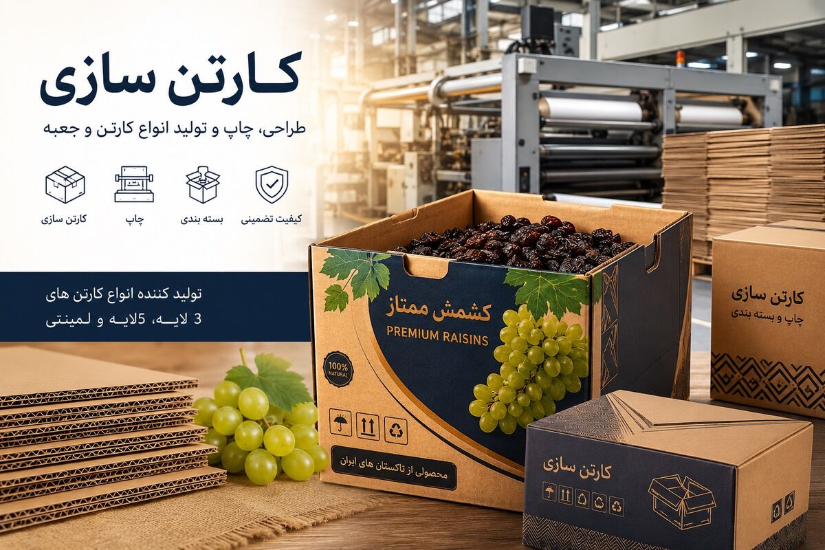 کارتن جعبه کشمش