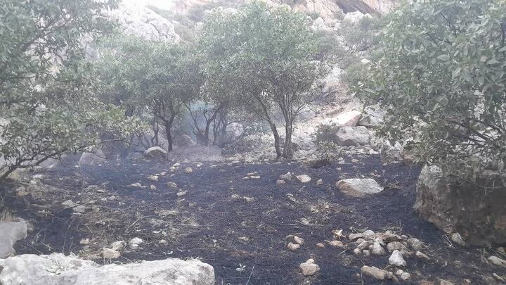 آتش‌سوزی ارتفاعات سرکش گیلانغرب مهار شد