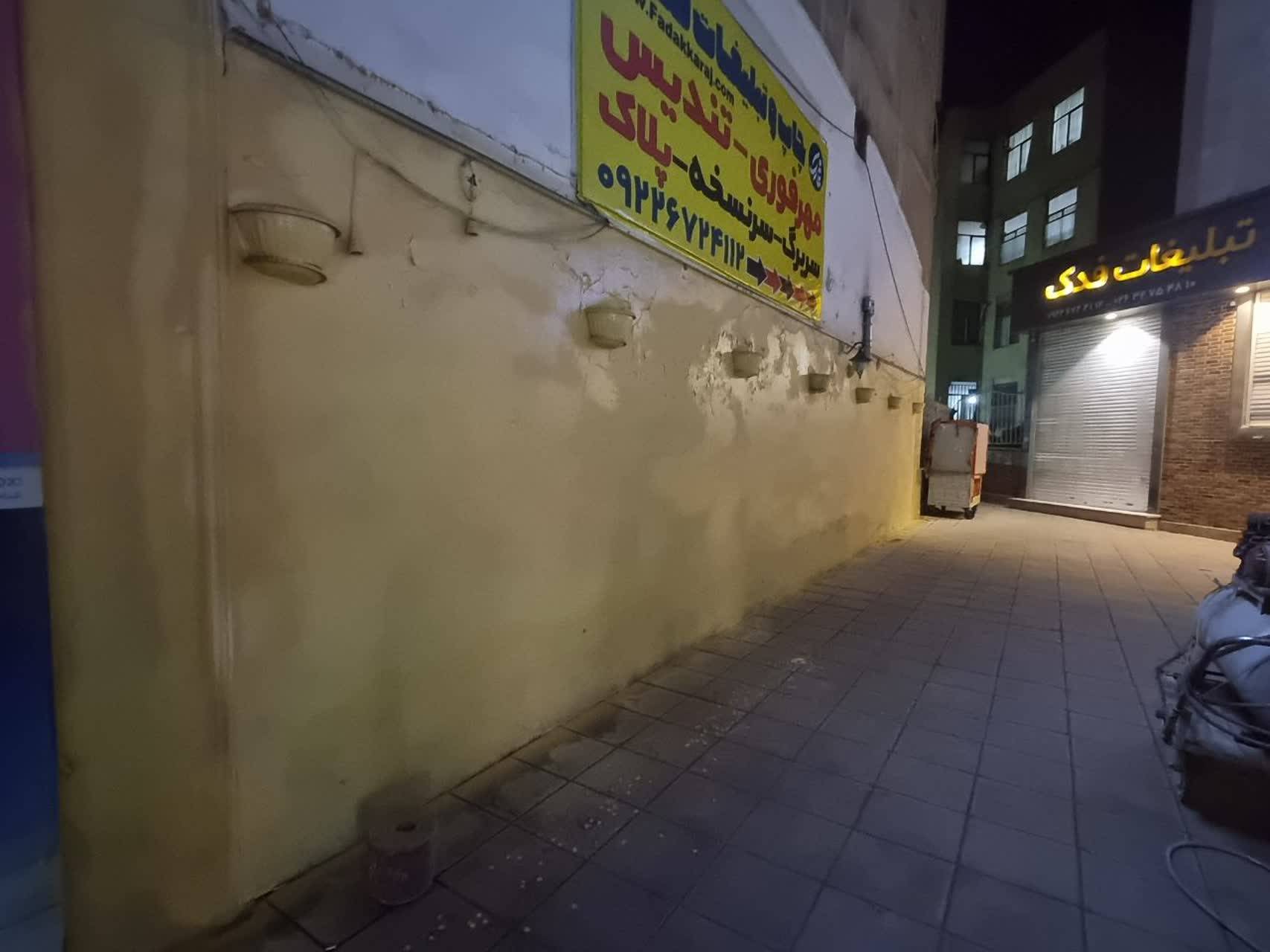 اقدامات گسترده فضای سبز و رنگآمیزی ۵ هزار مترمربع از جدارههای شهری در منطقه ۹ کرج