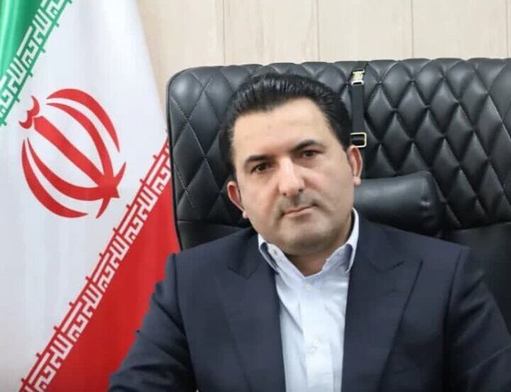 صادرات مرغ مشروط به تنظیم بازار داخلی شد | افزایش سهم مرغ در سبد خانوار