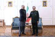 وزیر کشور پاکستان با دبیر شورای عالی امنیت ملی دیدار کرد