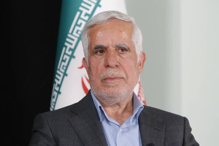 اکتشاف عناصر نادر و خاکی در اولویت سازمان زمین‌شناسی