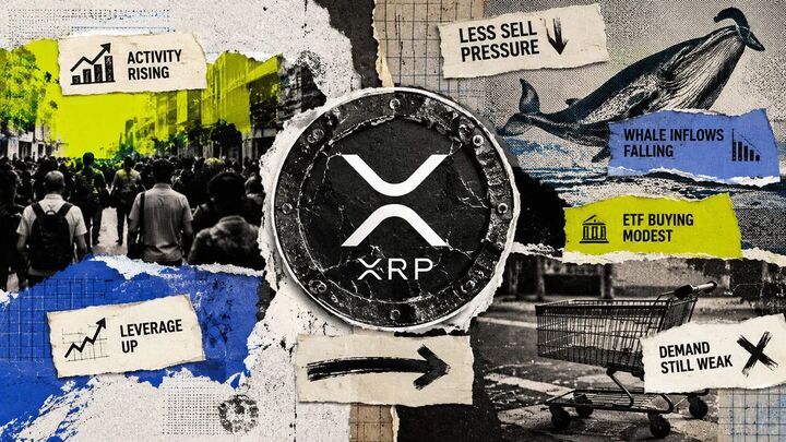 والاستریت بیسروصدا در حال خرید ETFهای ریپل؛ ردپای غولهای مالی در بازار XRP والاستریت بیسروصدا در حال خرید ETFهای ریپل؛ ردپای غولهای مالی در بازار XRP
