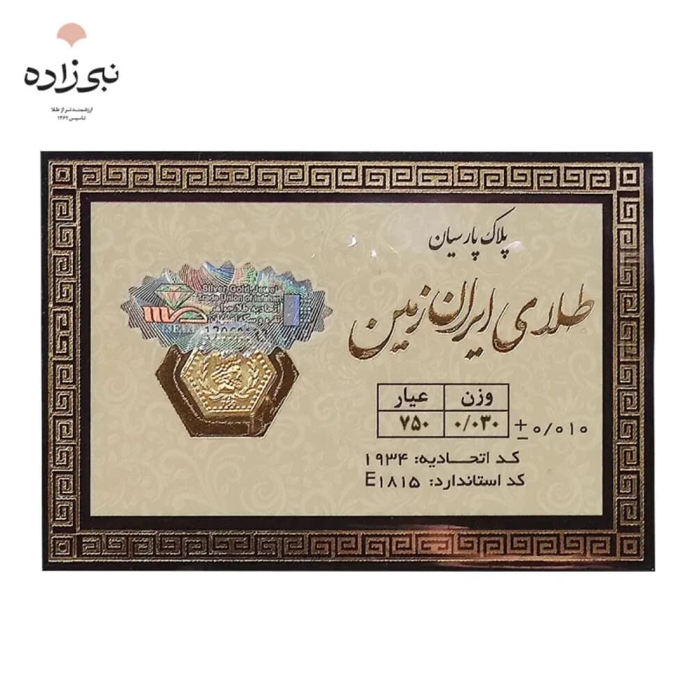 سرمایه‌گذاری با پول کم؛ چرا نام سکه پارسیان بیشتر شنیده می‌شود؟