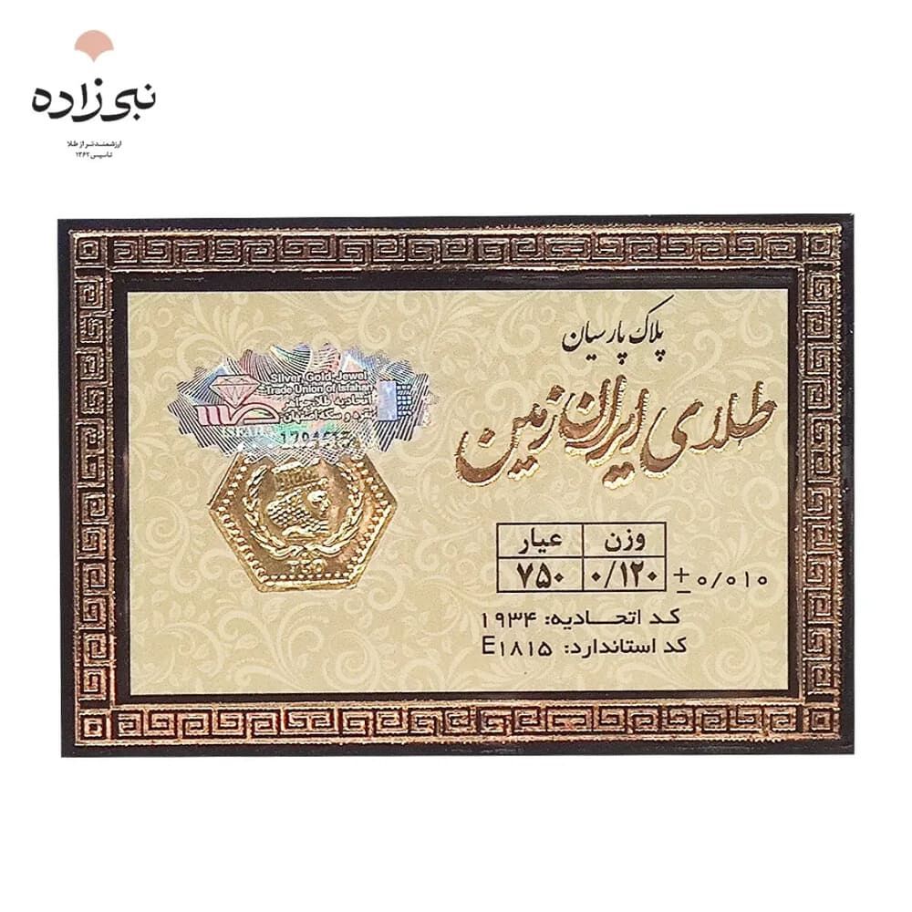 سرمایهگذاری با پول کم؛ چرا نام سکه پارسیان بیشتر شنیده میشود؟