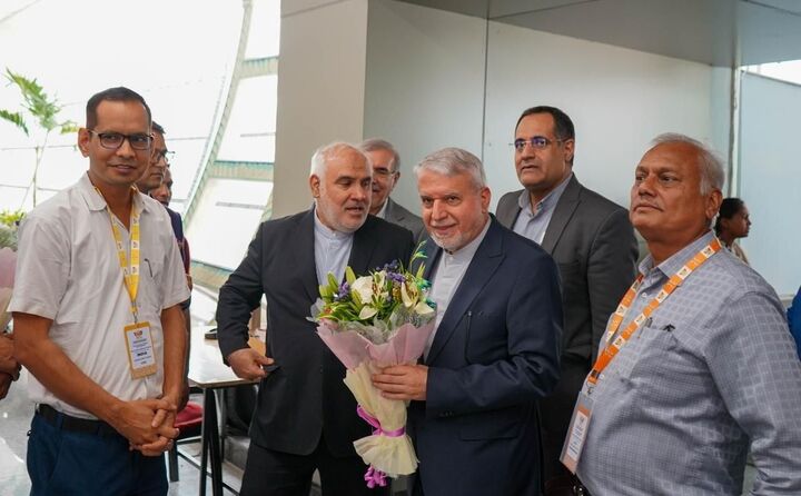 «بریکس» ظرفیت شکل‌دهی به یک قدرت بزرگ اقتصادی و فرهنگی در جهان را دارد