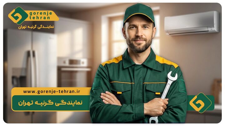معرفی خدمات تعمیر اولین نمایندگی گرنیه تهران