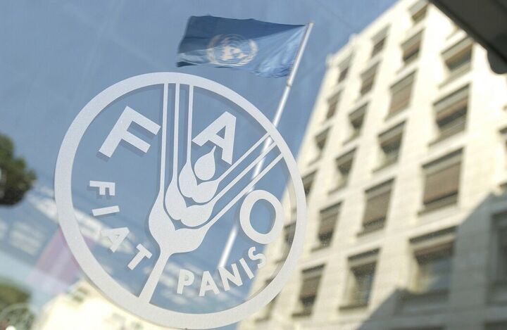 فائو: جنگ و تغییرات آب‌وهوایی قیمت جهانی مواد غذایی را افزایش داد