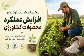 راهنمای انتخاب کود برای افزایش عملکرد محصولات کشاورزی