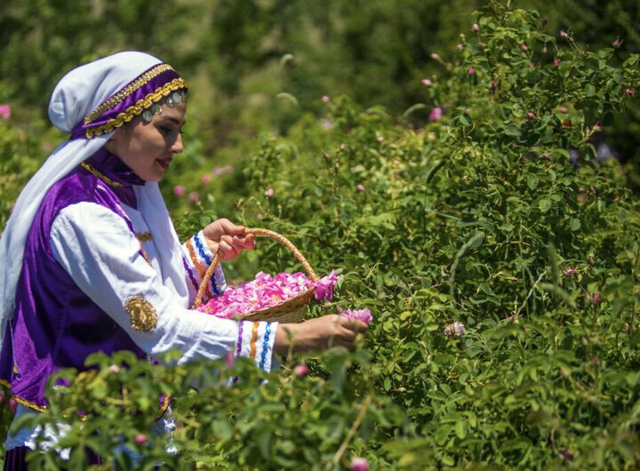 آغاز شبکه‌سازی برای اتصال زنان کشاورز به بازارهای فروش سراسر کشور