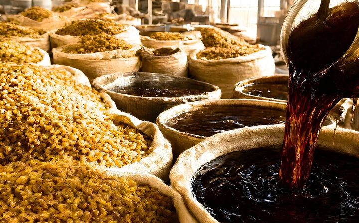 تولید بیش از ۵ هزار تن کشمش و شیره انگور در خوانسار