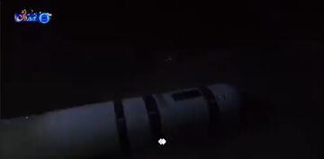 دومین زهپاد آمریکایی اینگونه شکار شد