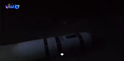 دومین زهپاد آمریکایی اینگونه شکار شد