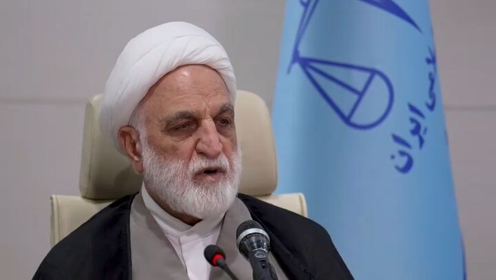 محسنی اژه‌ای: مسئله کنجاله‌ها و گوشت‌های تاریخ‌مصرف‌گذشته  در انبارها را رها نکنید