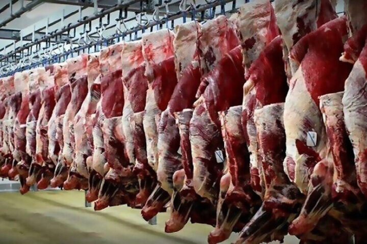 هیچ مجوزی برای کشتار و عرضه گوشت اسب، قاطر و الاغ صادر نشده است