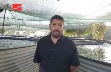 خلاقیت علمی عامل رشد دوبرابری برداشت ماهی شد؛ خوراک دهی به ماهی سردابی در تابستان